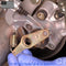 Rear Brake Cable For Suzuki LT-A400F 4WD King Quad 2008 - 2010