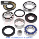 Rear Differential Bearing and Seal Kit For Suzuki LT-Z250 2004-2009