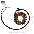 Replacement Stator Generator For Kawasaki ZX1200 Ninja ZX12R 2005